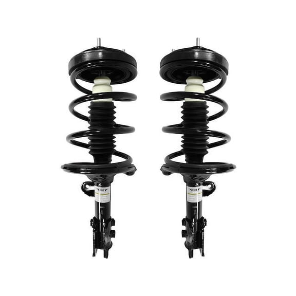 Front Strut and Coil Spring Assembly Set of 2 - Compatible with 2006 - 2012, 2014 Kia Sedona 2007 2008 2009 2010 2011