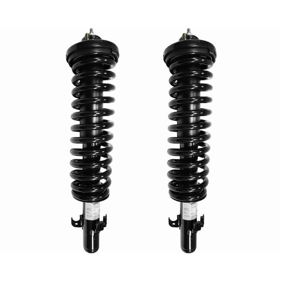 Unity 2-11170-001 Shock Absorber and Strut Assembly, Non-adjustable Loaded strut