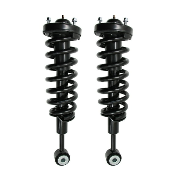 Front Struts Shock & Assembly - Pair of 2 - Gas Type - Black-Front Struts Shock & Coil Springs