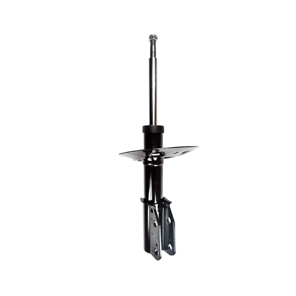 Front Suspension Strut Assembly For 1998-2005 Buick Park Avenue