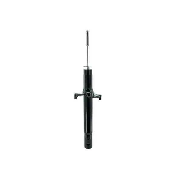 Front Suspension Strut Assembly For 2005-2012 Acura RL