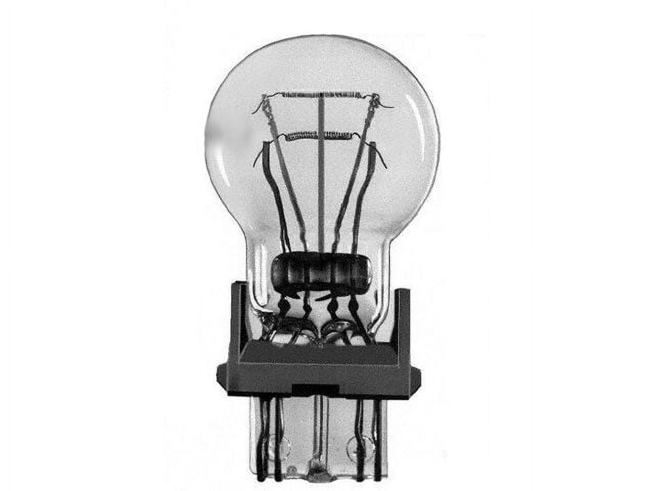Front Turn Signal Light Bulb - Compatible with 1996 - 2011 Mercury Grand Marquis 1997 1998 1999 2000 2001 2002 2003 2004 2005 2006 2007 2008 2009 2010