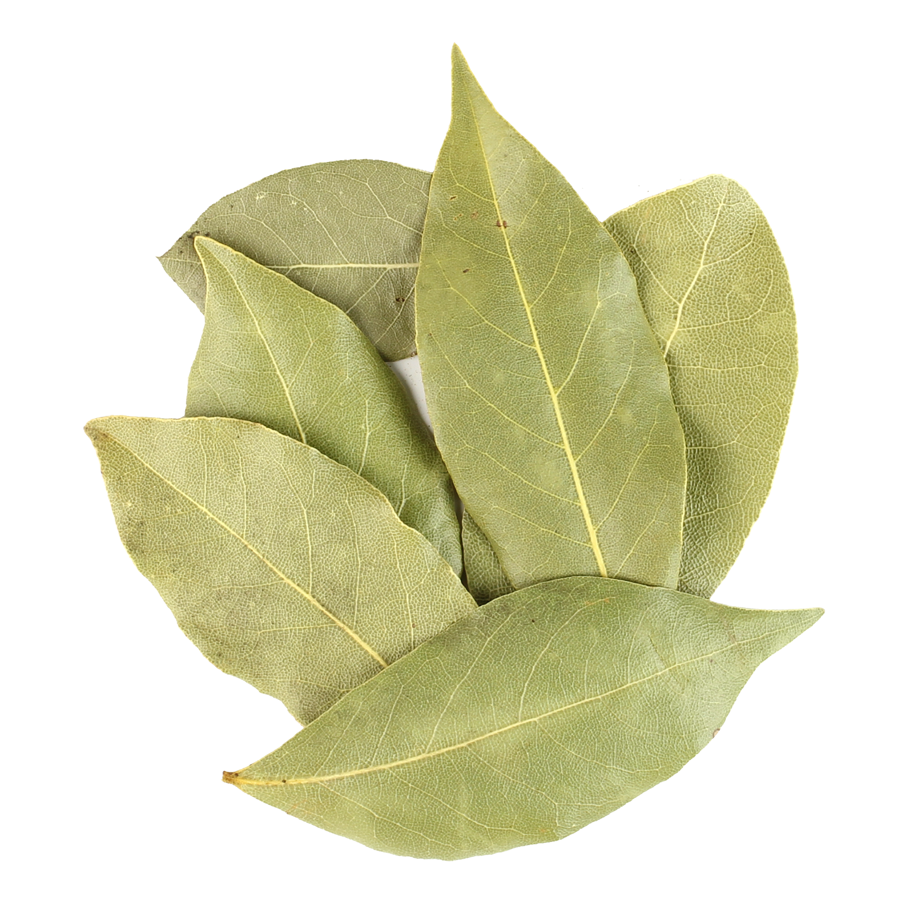 Frontier Co-Op Hand-Select Bay Leaf, Whole, Certified Organic, Bulk 16 oz. - image 1 of 8