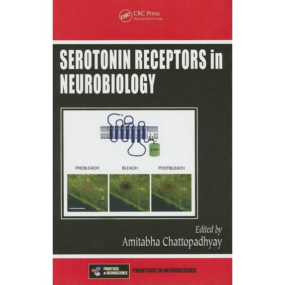 Frontiers in Neuroscience Serotonin Receptors in Neurobiology, (Hardcover)
