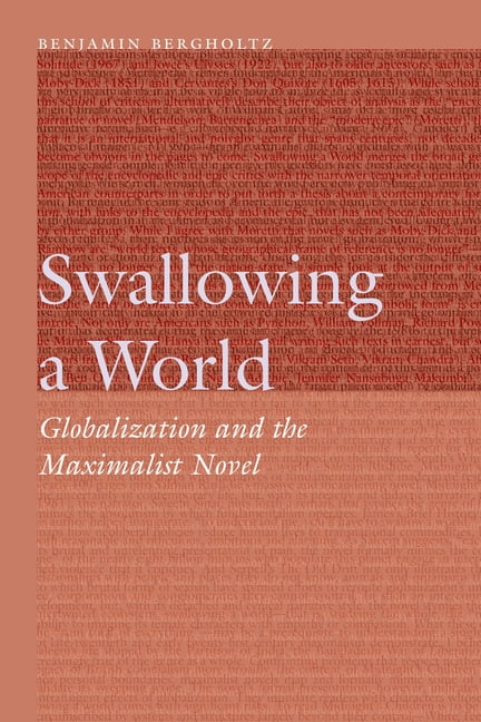 Frontiers of Narrative: Swallowing a World : Globalization and the Maximalist Novel (Hardcover)