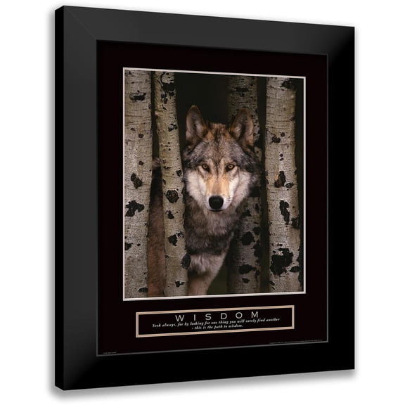 Frontline 12x14 Black Modern Framed Museum Art Print Titled - Wisdom - Grey Wolf