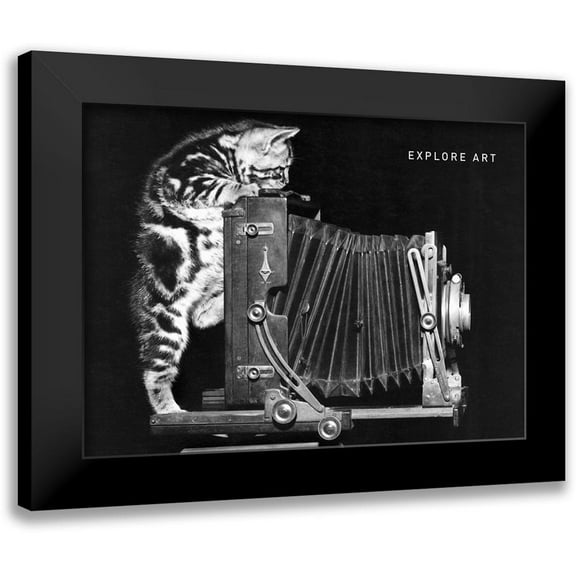Frontline 14x11 Black Modern Framed Museum Art Print Titled - Cat and Camera