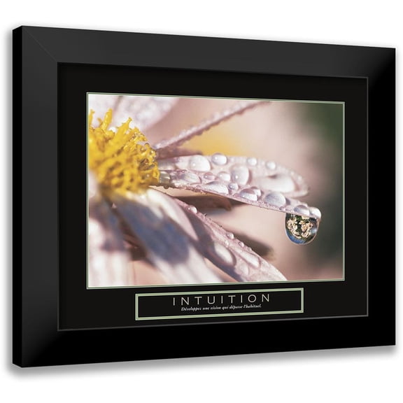 Frontline 14x12 Black Modern Framed Museum Art Print Titled - Intuition - Dewdrop