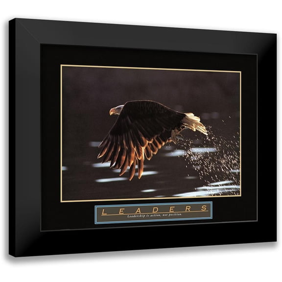 Frontline 14x12 Black Modern Framed Museum Art Print Titled - Leaders - Eagle