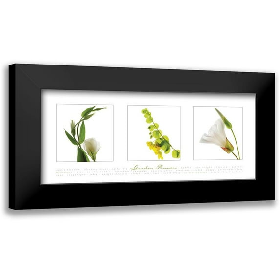 Frontline 14x8 Black Modern Framed Museum Art Print Titled - Garden Flowers V