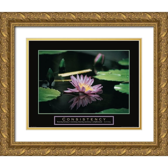 Frontline 18x15 Gold Ornate Wood Framed with Double Matting Museum Art Print Titled - Consistency - Pond Flower