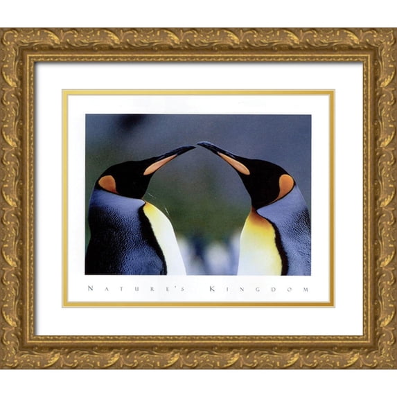 Frontline 32x26 Gold Ornate Wood Framed with Double Matting Museum Art Print Titled - King Penguins
