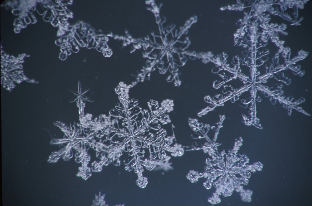 Frost Crystal On Glass Kodiak Isl Southwest Ak Winter Detail Canvas Art - Marion Owen Design Pics (19 x 12)