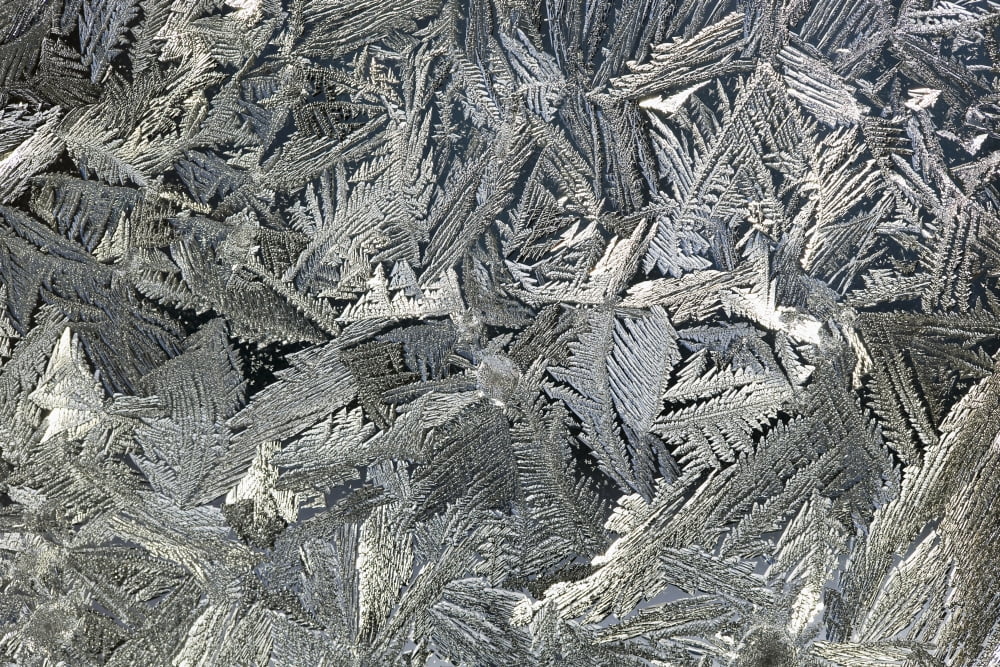Frost Crystals On A Window Calgary Alberta Canada Canvas Art - Michael Interisano Design Pics (19 x 12)