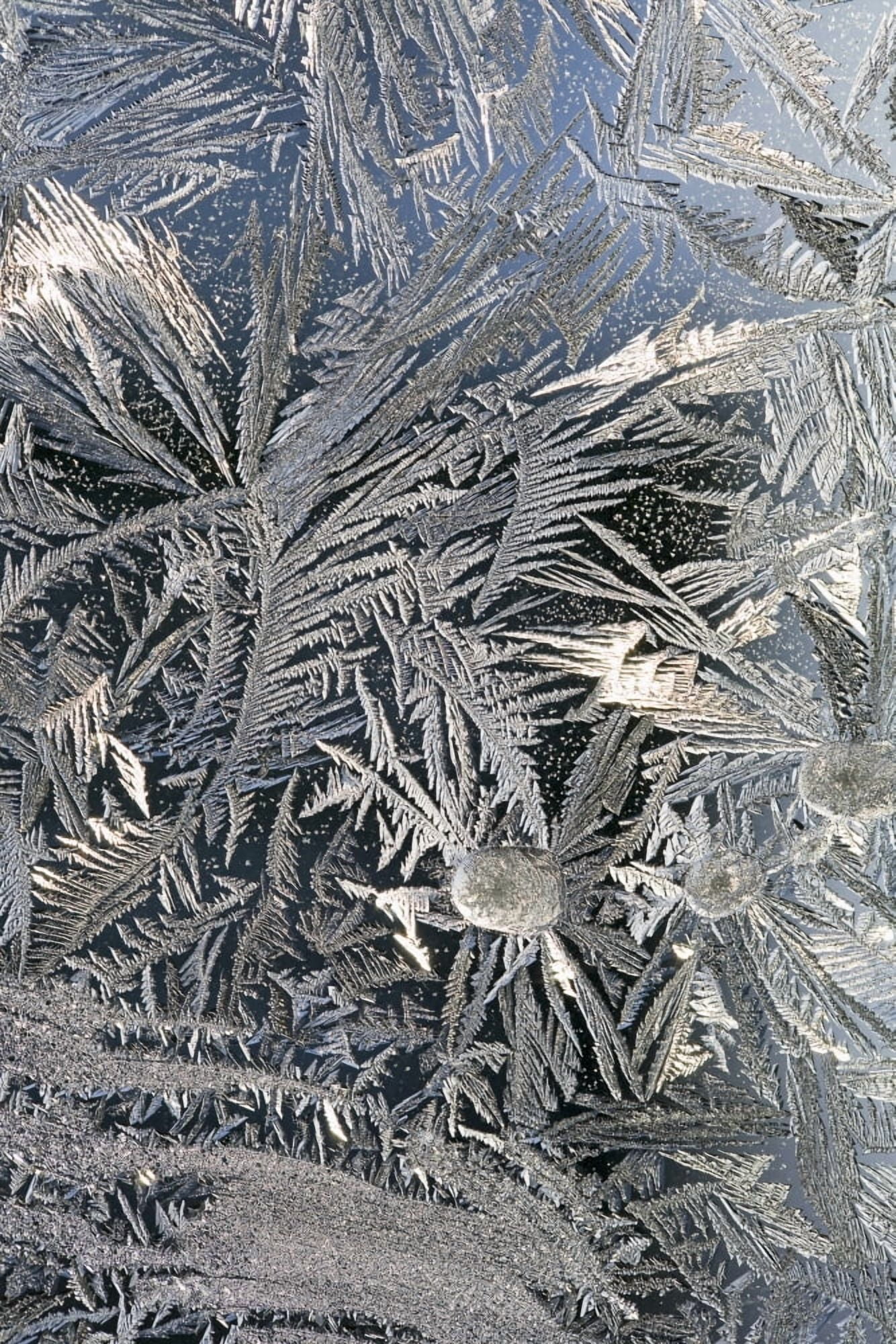 Frost Crystals On A Window Calgary Alberta Canada Canvas Art - Michael Interisano Design Pics (24 x 38)