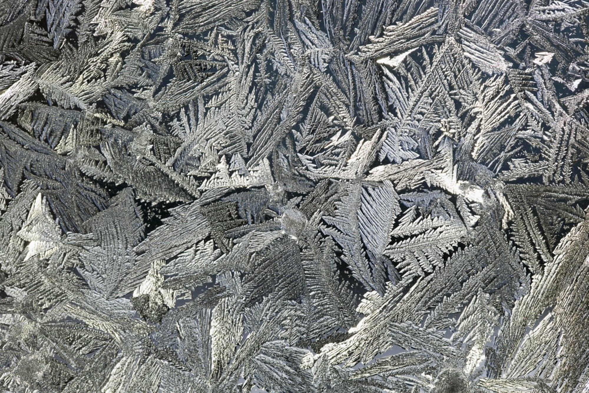 Frost Crystals On A Window Calgary Alberta Canada Canvas Art - Michael Interisano Design Pics (38 x 24)