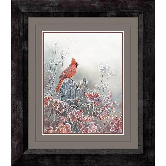 Frost & FireCardinal