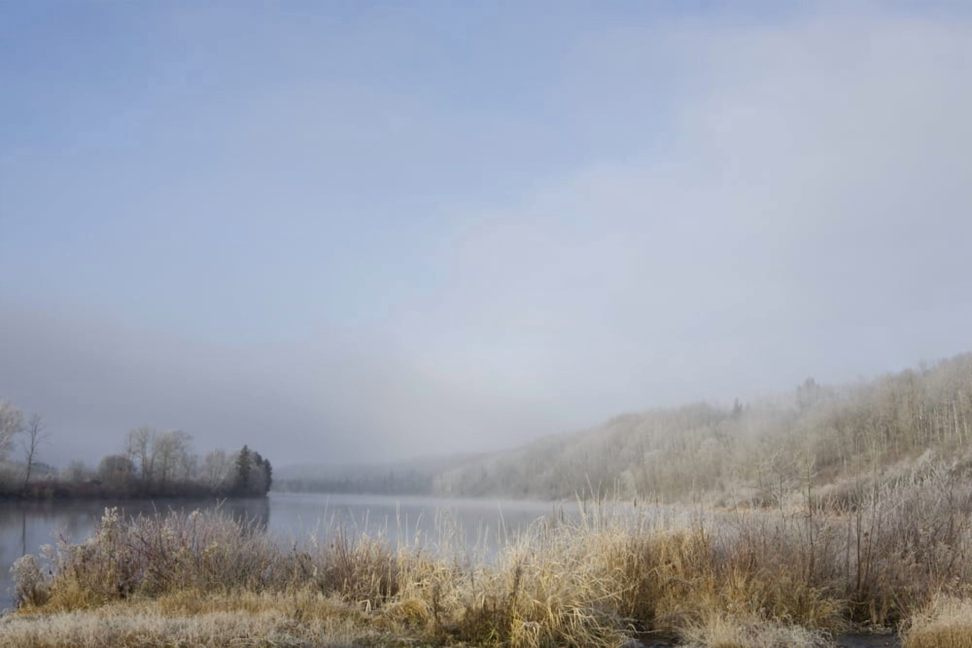 Frost On The Tall Grass Along The Shore Of A Lake Thunder Bay Ontario Canada Canvas Art - Susan Dykstra Design Pics (19 x 13)