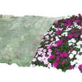 thumbnail image 1 of Frost Protek FP-FLAT105-GREEN Flat Sheet Plant Cover, 1 of 1