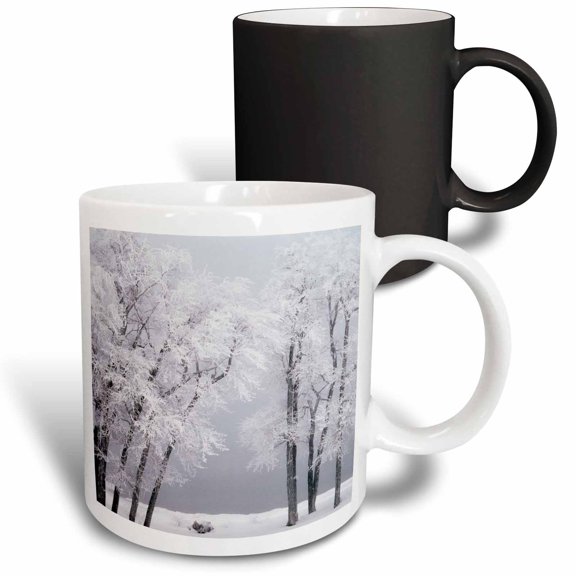 3drose, Frost , Winter, Bear Lake, Rendezvous, Utah, Usa - Us45 Ssm0468 - Scott T. Smith, 11oz Magic Transforming Mug