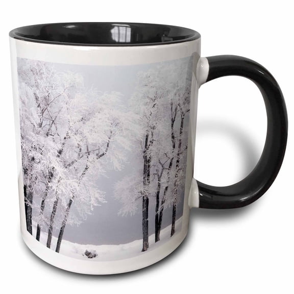 3drose, Frost , Winter, Bear Lake, Rendezvous, Utah, Usa - Us45 Ssm0468 - Scott T. Smith, 11oz Two-tone Black Mug