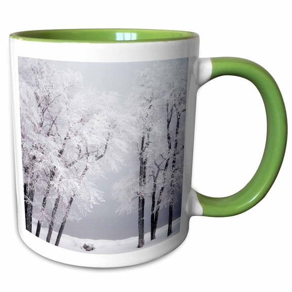 3drose, Frost , Winter, Bear Lake, Rendezvous, Utah, Usa - Us45 Ssm0468 - Scott T. Smith, 11oz Two-tone Green Mug