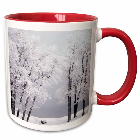 3drose, Frost , Winter, Bear Lake, Rendezvous, Utah, Usa - Us45 Ssm0468 - Scott T. Smith, 11oz Two-tone Red Mug
