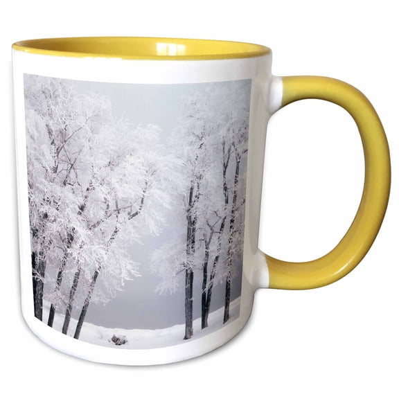 3drose, Frost , Winter, Bear Lake, Rendezvous, Utah, Usa - Us45 Ssm0468 - Scott T. Smith, 11oz Two-tone Yellow Mug