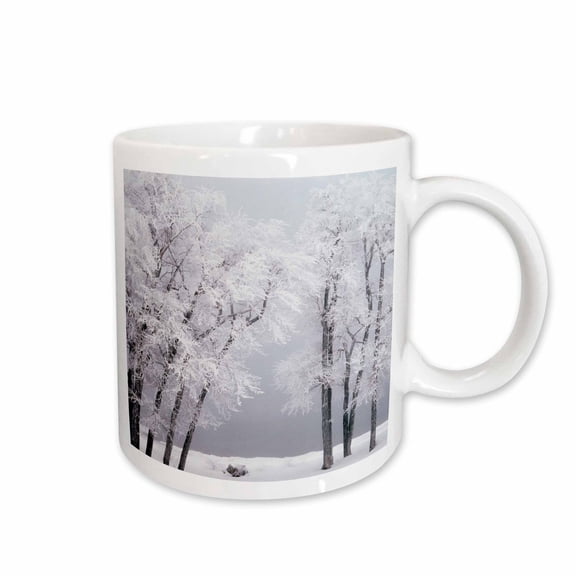 3drose, Frost , Winter, Bear Lake, Rendezvous, Utah, Usa - Us45 Ssm0468 - Scott T. Smith, 15oz Mug