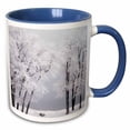 thumbnail image 1 of 3drose, Frost , Winter, Bear Lake, Rendezvous, Utah, Usa - Us45 Ssm0468 - Scott T. Smith, 15oz Two-tone Blue Mug, 1 of 6