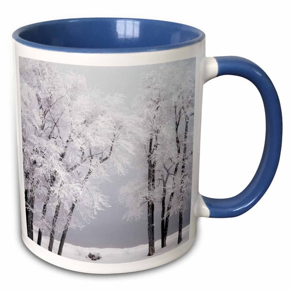 3drose, Frost , Winter, Bear Lake, Rendezvous, Utah, Usa - Us45 Ssm0468 - Scott T. Smith, 15oz Two-tone Blue Mug
