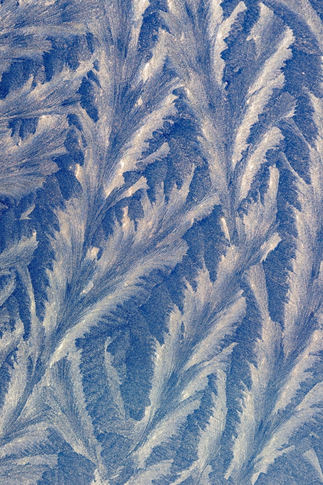 Frost makes patterns on a car window Astoria Oregon United States of America Canvas Art - Robert L Potts Design Pics (12 x 18)