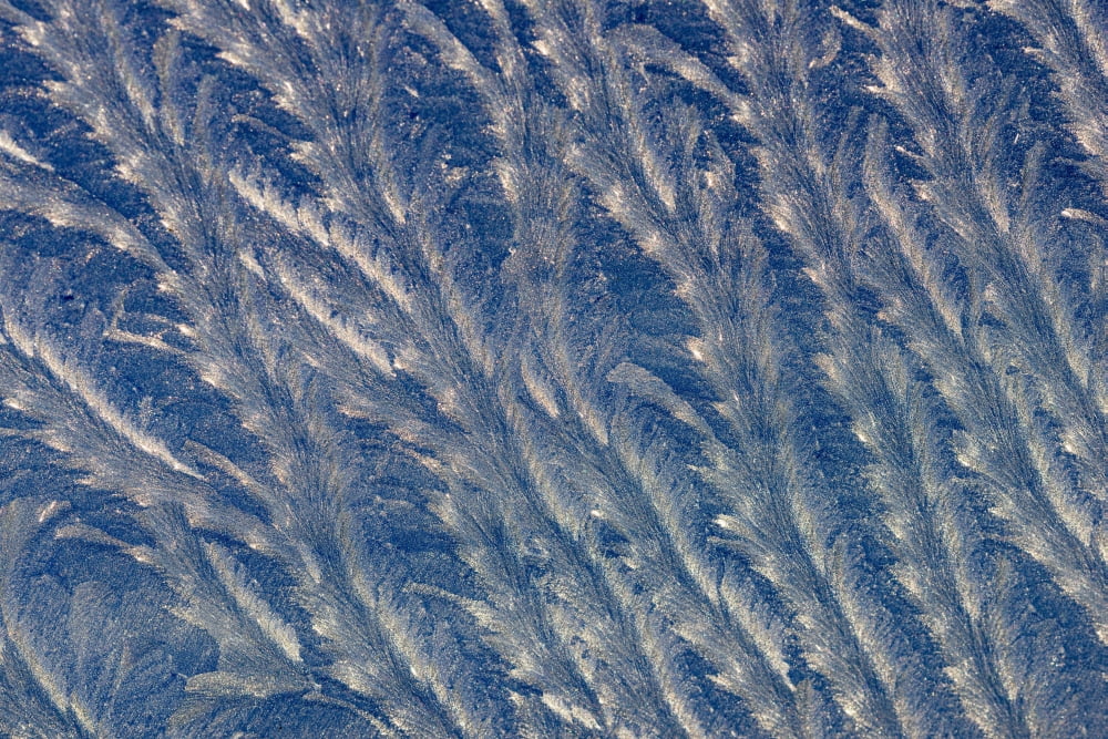 Frost makes patterns on a car window Astoria Oregon United States of America Canvas Art - Robert L Potts Design Pics (36 x 24)