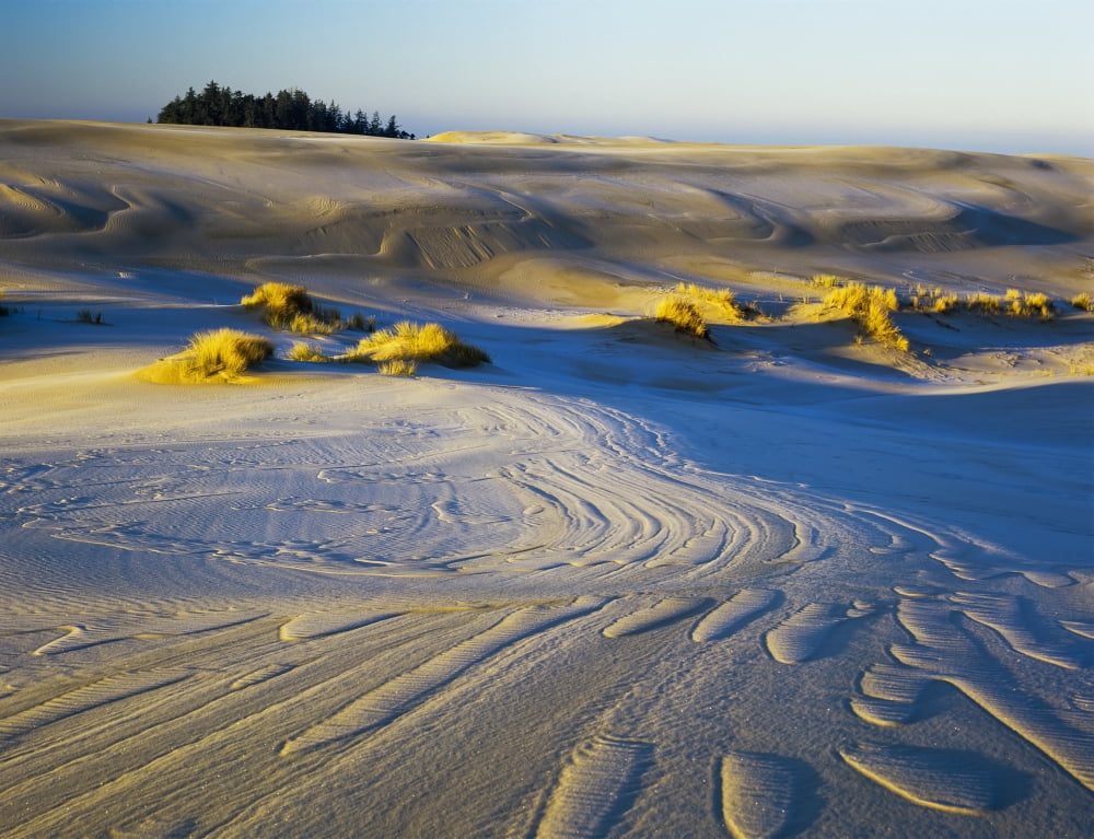 Frost turns the sand white in the winter Lakeside Oregon United States of America Canvas Art - Robert L Potts Design Pics (34 x 26)