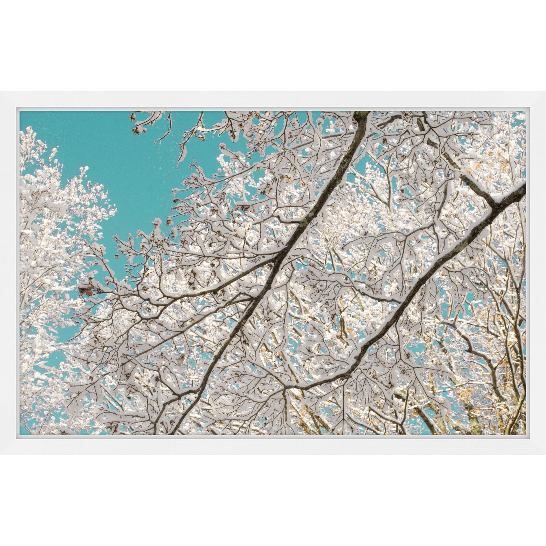 "Frosted Branches" Framed Painting Print