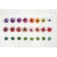 thumbnail image 1 of Frosted Craft Tissue Paper 12"X12" 20/Pkg-Stone Fruit-Reds, 1 of 4