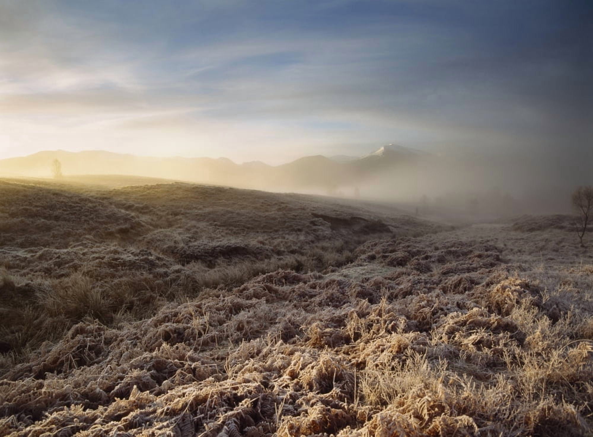 Frosted Fields And Misty Valley Canvas Art - Ian Cumming Design Pics (36 x 26)