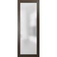 thumbnail image 1 of Frosted Lite Glass Door Panel Slab 30 x 96, 1 of 6