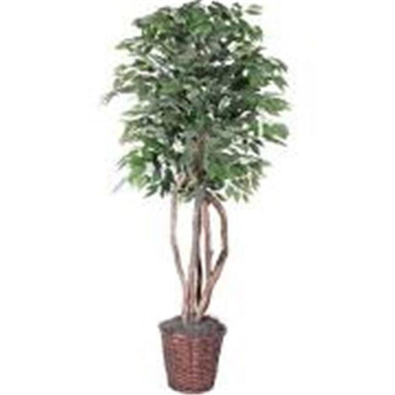 Frosted Maple Executive Everyday Tree in Plastic Container - 6 ft ...