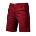 thumbnail image 1 of Frostluinai Cargo Pants For Men Cargo Pants For Mens Plus Size Bermuda Shorts Joggers Sweatpants Shorts Loose Fit Knee Length With Pocket Straight Elastic Shorts, 1 of 1