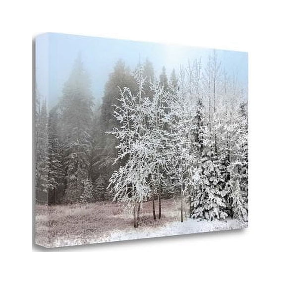 Frosty Morning' Photographic Print on Wrapped Canvas