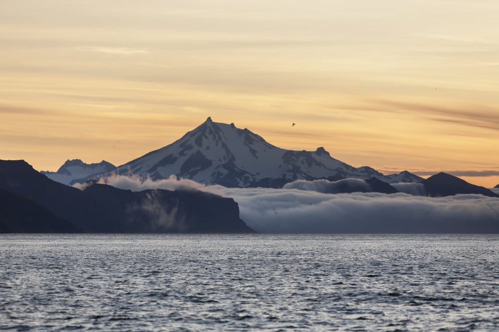 Frosty Peak On The Alaska Peninsula From Ikatan Bay Near False Pass Southwest Alaska Summer Canvas Art - Scott Dickerson Design Pics (19 x 12)