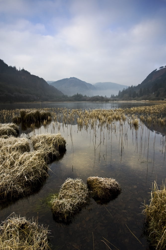 Frosty Winters Morning Lower Lake Glendalough County Wicklow Ireland Canvas Art - Peter McCabe Design Pics (22 x 34)