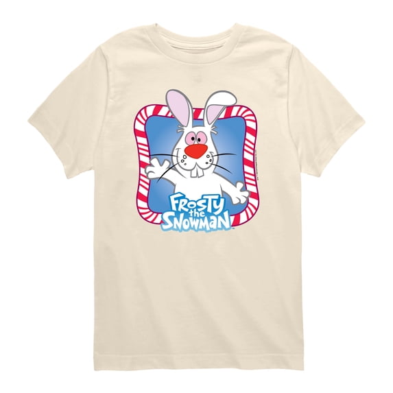 Frosty the Snowman - Hocus Pocus Rabbit - Toddler Boys Short Sleeve Graphic T-Shirt