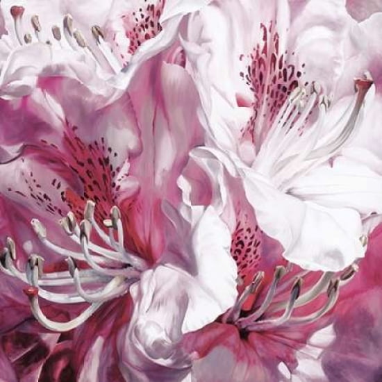 Froth and Flounce Canvas Art - Sarah Caswell (24 x 24)