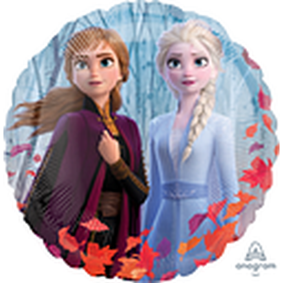 18C HX FROZEN 2