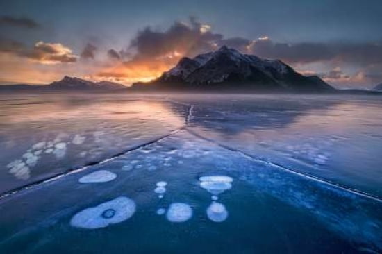 Frozen Bubbles Canvas Art - Jianyi Wu (12 x 18)