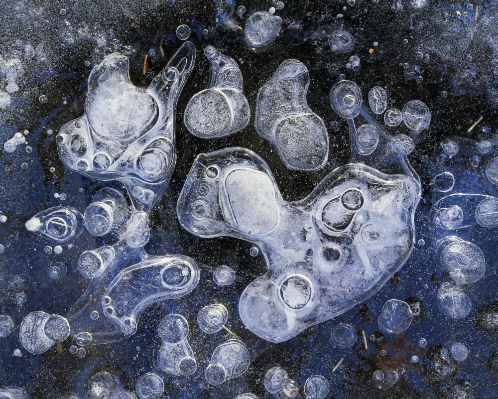Frozen Bubbles In Pond Ice Eagle River Valley Sc Alaska Winter Chugach State Park Canvas Art - Vance Gese Design Pics (17 x 13)
