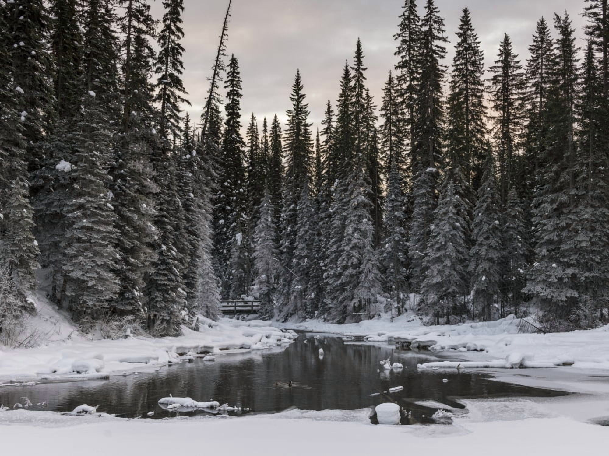 Frozen Emerald Lake in Yoho National Park British Columbia Canada Canvas Art - Keith Levit Design Pics (18 x 13)