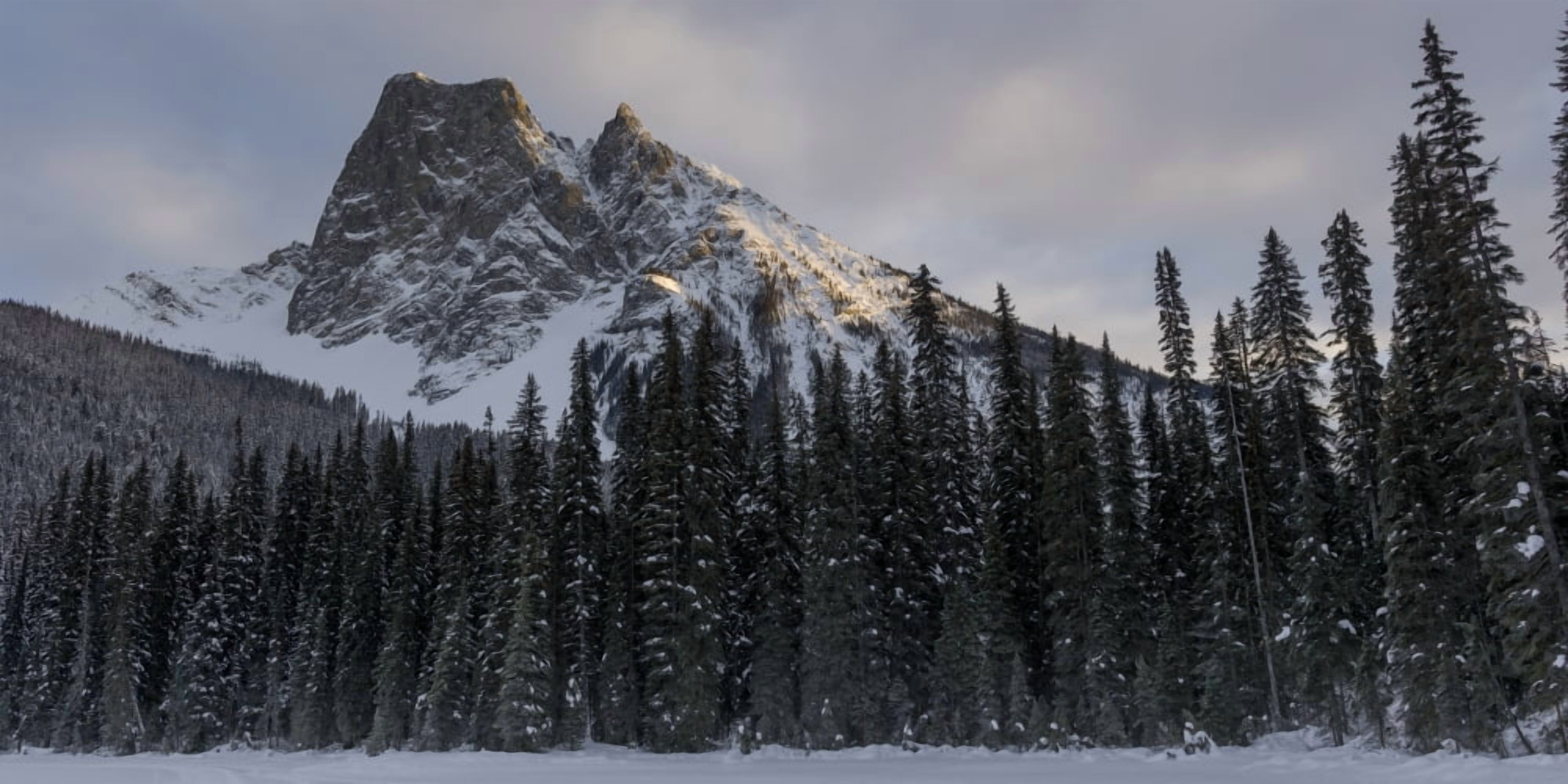 Frozen Emerald Lake in Yoho National Park British Columbia Canada Canvas Art - Keith Levit Design Pics (42 x 20)